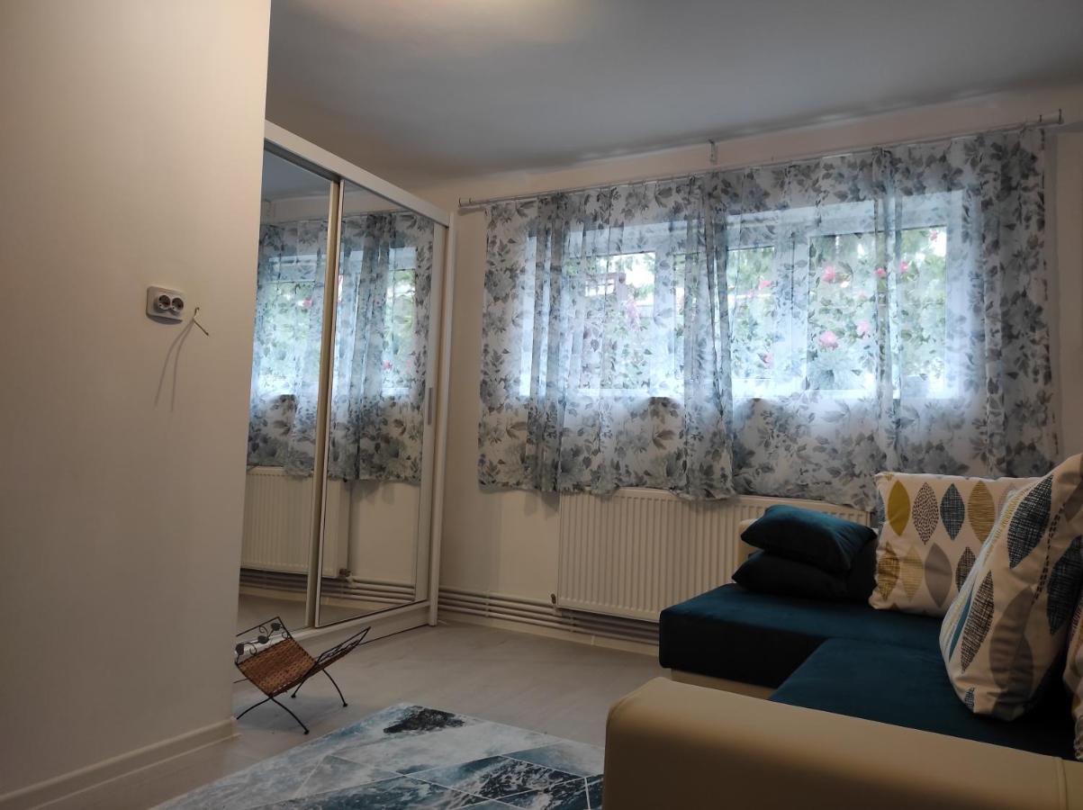 Garsoniera Cocheta Zona Coresi Mall 브라쇼브 외부 사진